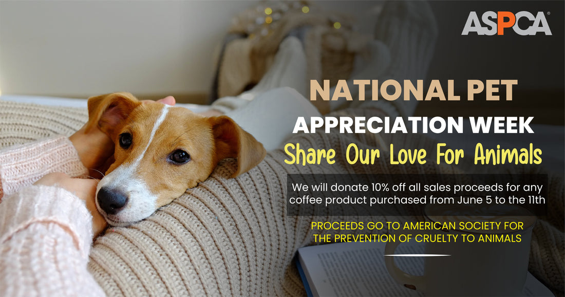 Share Our Love For Animals
